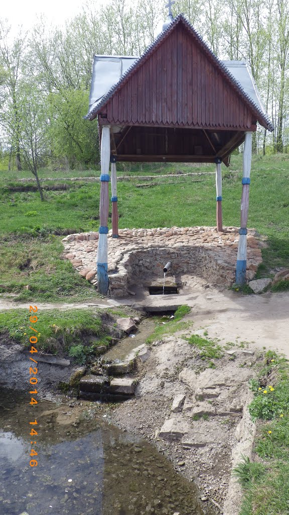 Родник