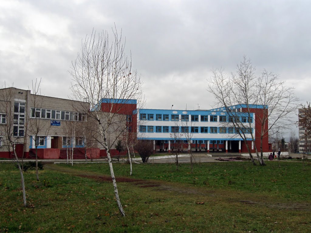 Школа №9.