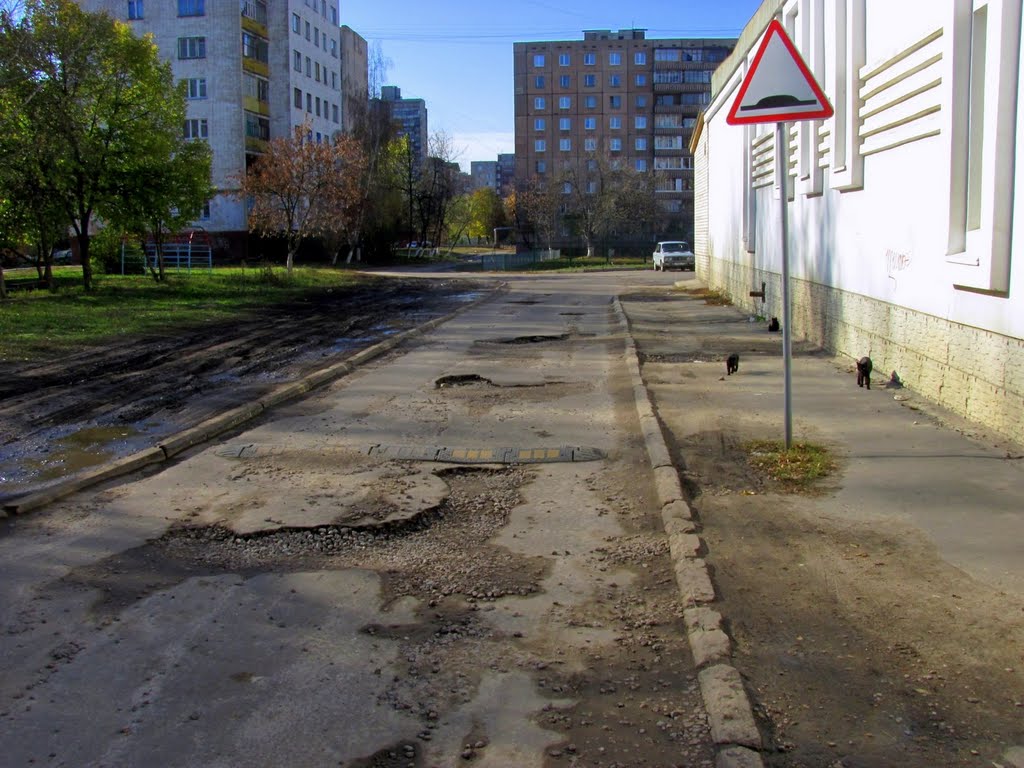 Естественные и искусственные...