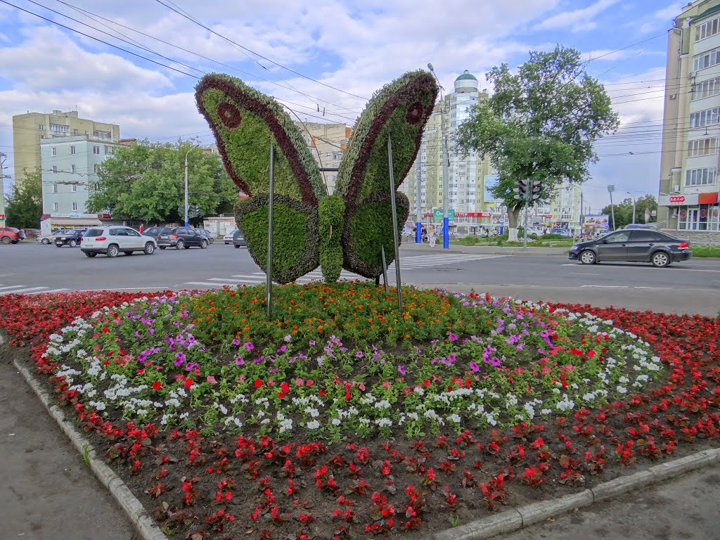 Бабочка
