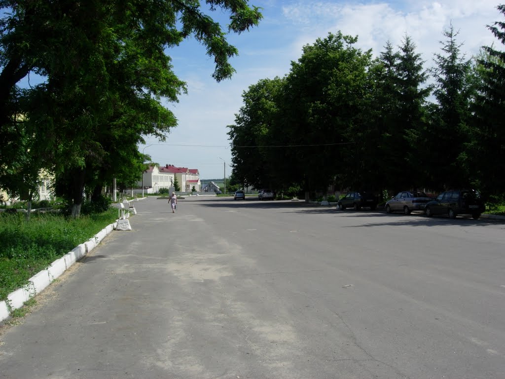 ул.Ленина