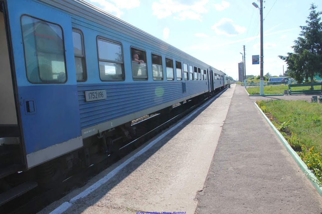 Ж.д.платформа с мотриссой Орёл-Брянск, п.г.т. Хотынец (07.06.2011)