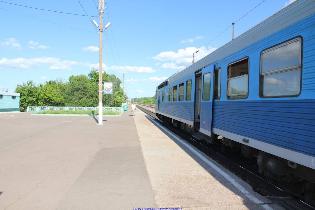 Ж.д.платформа с мотриссой Орёл-Брянск, п.г.т. Хотынец (07.06.2011)
