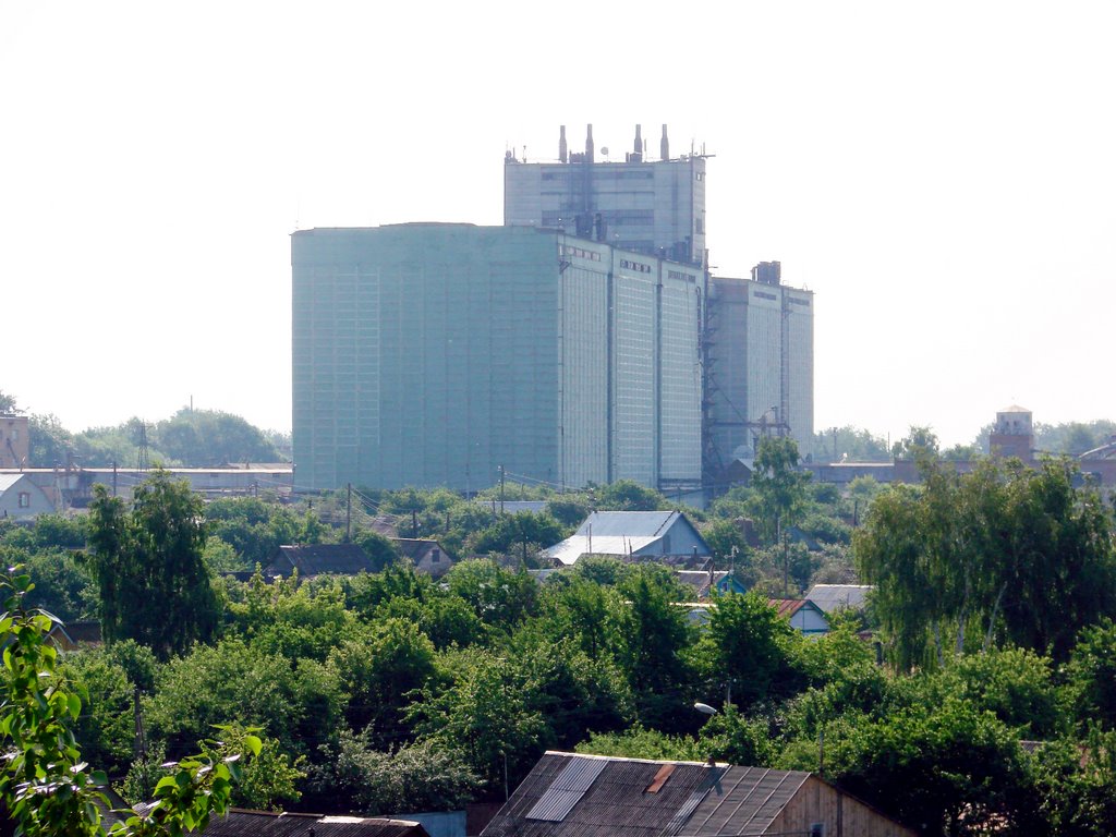 Башмаковский Мукамольный завод