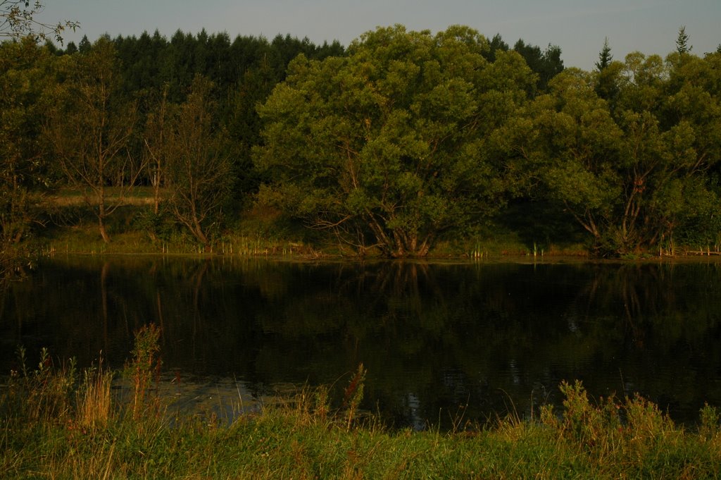 Old Pond