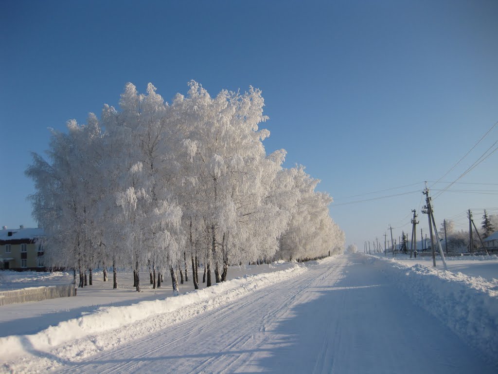 ул.МОСКОВСКАЯ ( 7 января 2011 г.)
