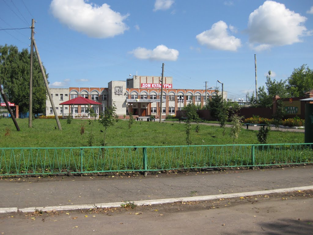 РАЙОННЫЙ ДОМ КУЛЬТУРЫ.