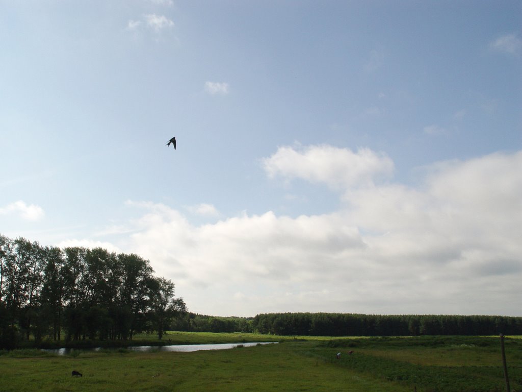 Black Lake