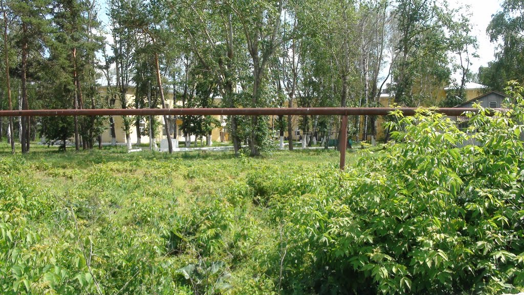 Усадьба в Беково (тубдиспансер)