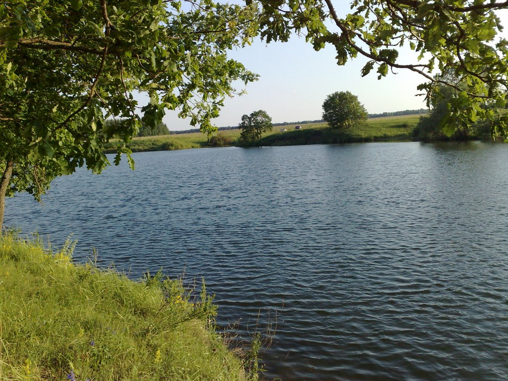 Сяськинский пруд