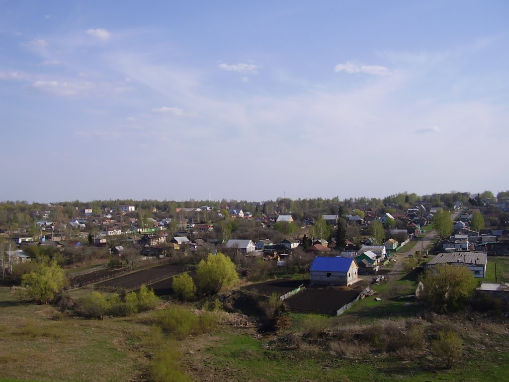 г. Белинский. Вид с горы.