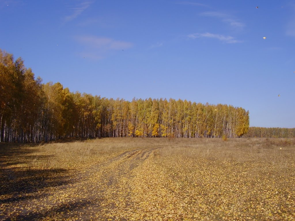 Золотая осень
