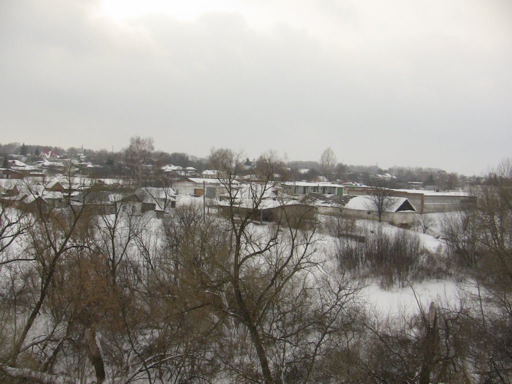 View of Belinsky