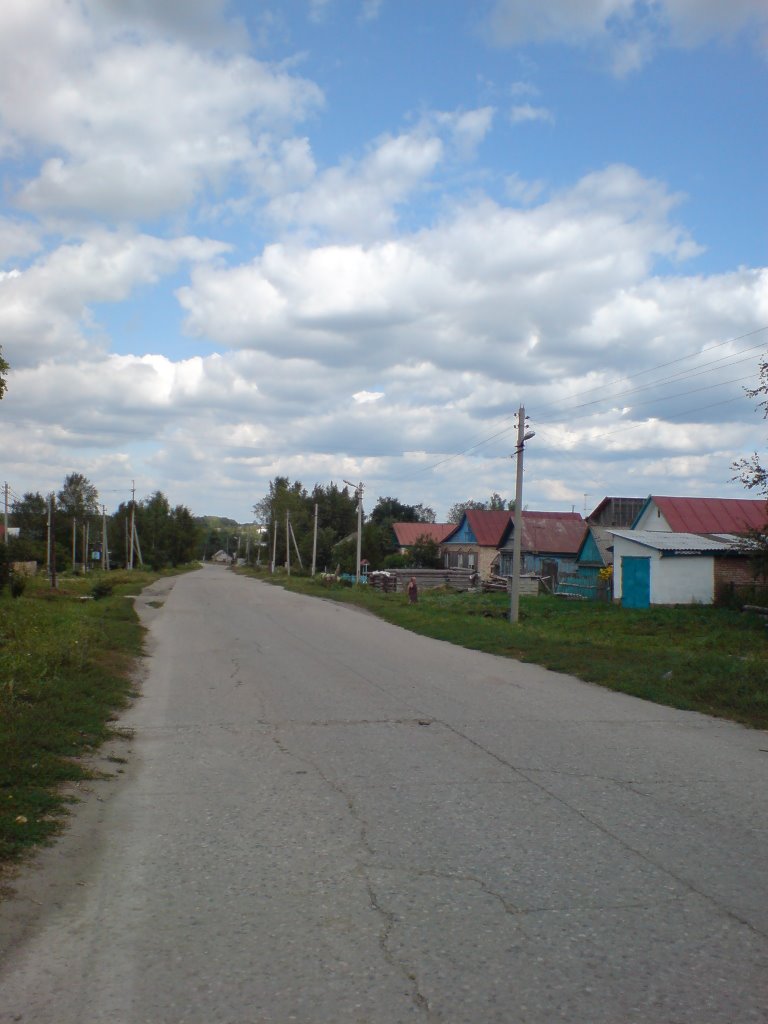 улица в Бессоновке