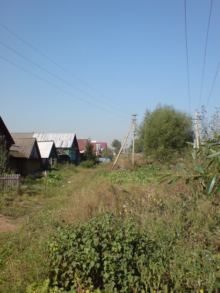 с.Бессоновка. ул. Колхозная