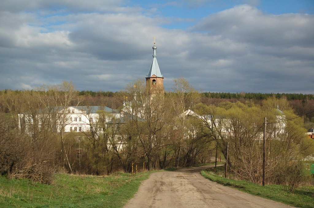 Вадинск.Дорога на монастырь