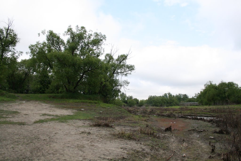 Vadinsk_old beach