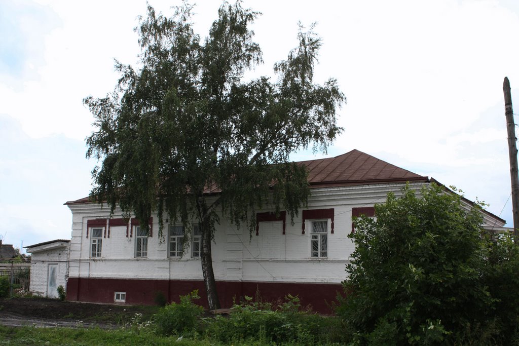 House and a birch