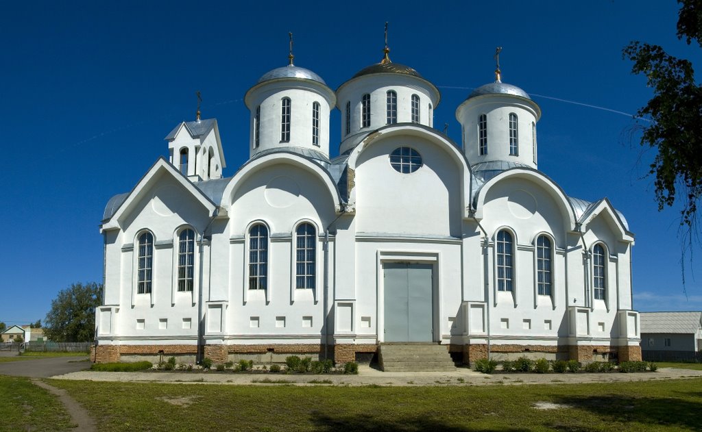 Церковь Рождества Христова в Земетчино