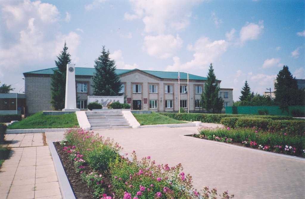 District government