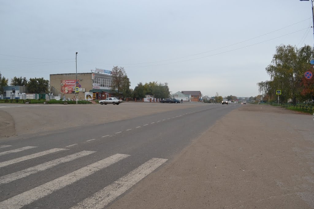 Центральная площадь пос.Земетчино,Пензенской области.