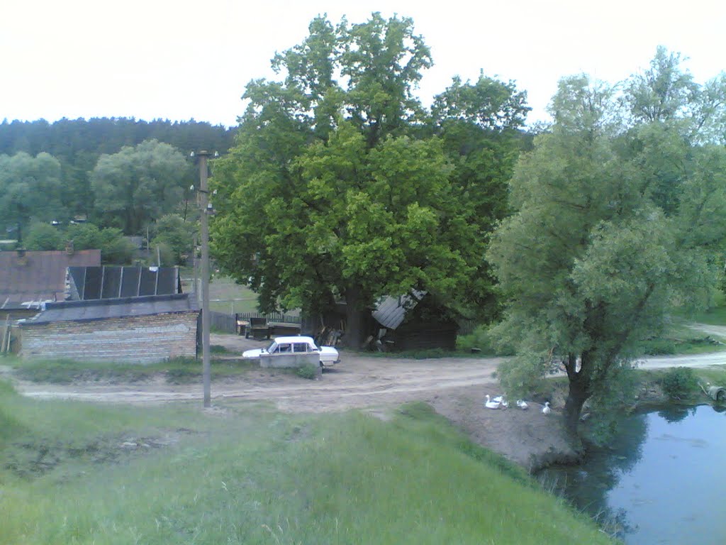 тажа самая боголюбовка