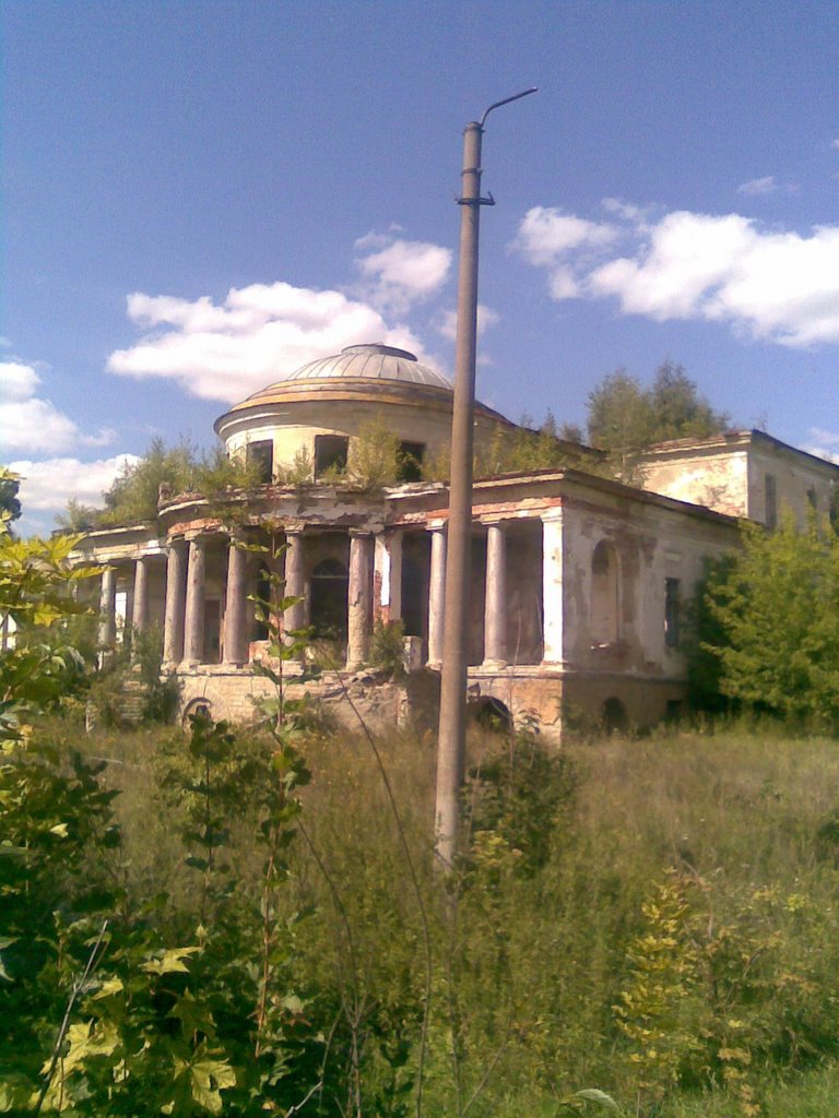 Дом Воейкова
