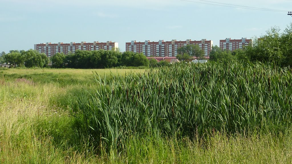 городок "П"...г.Каменка Пенз.обл. (вид с поля)