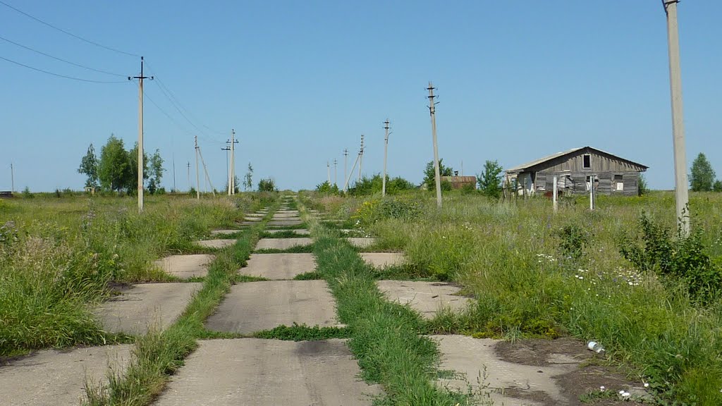подъездная дорога к ВПП г.Каменка