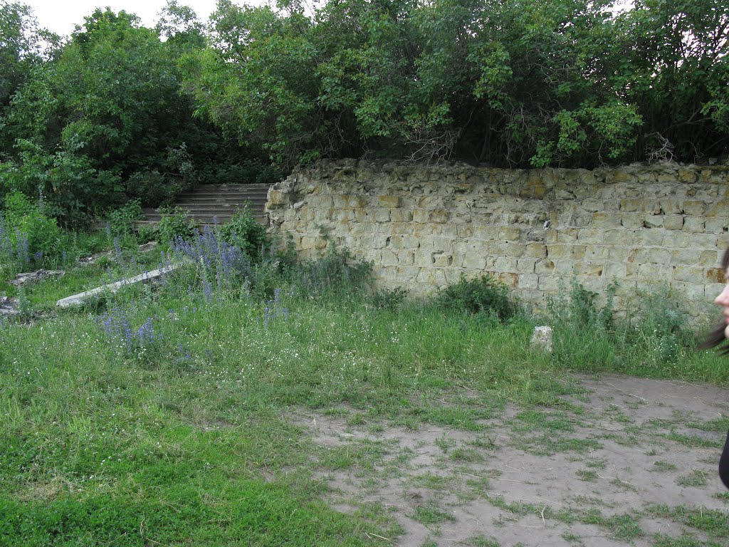 Забор усадьбы