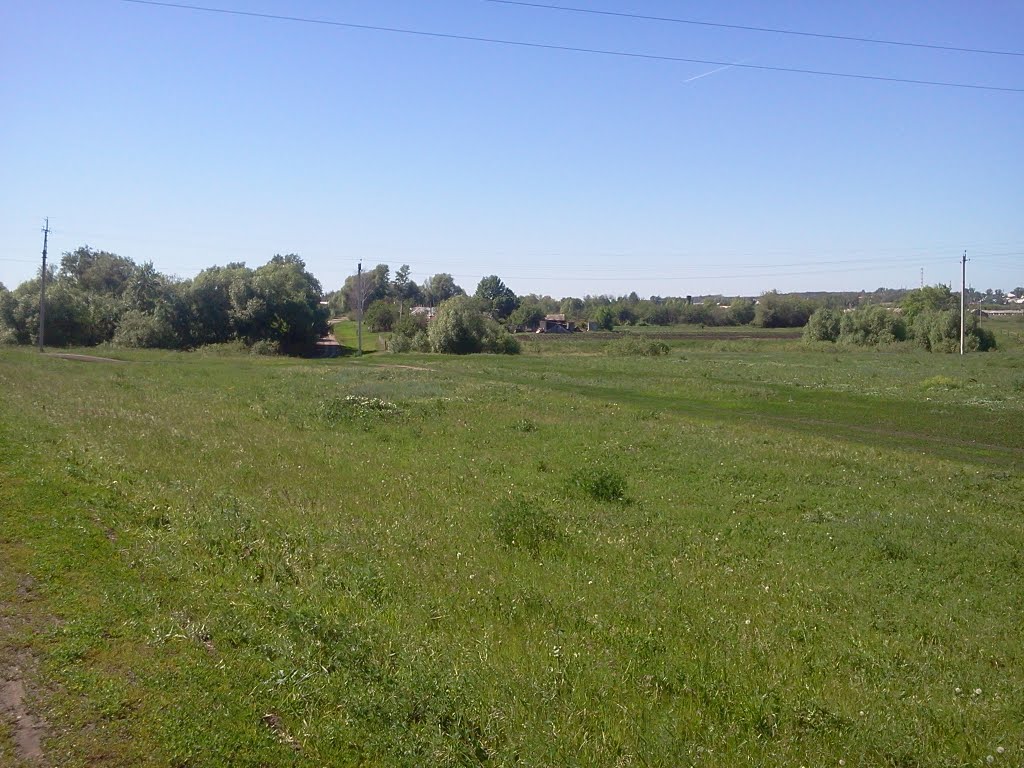 Кондоль,Околица. 2011г. автор Василий Устинов