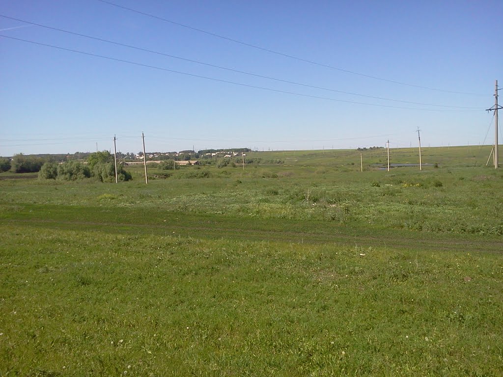 Кондоль 2011г. автор Василий Устинов