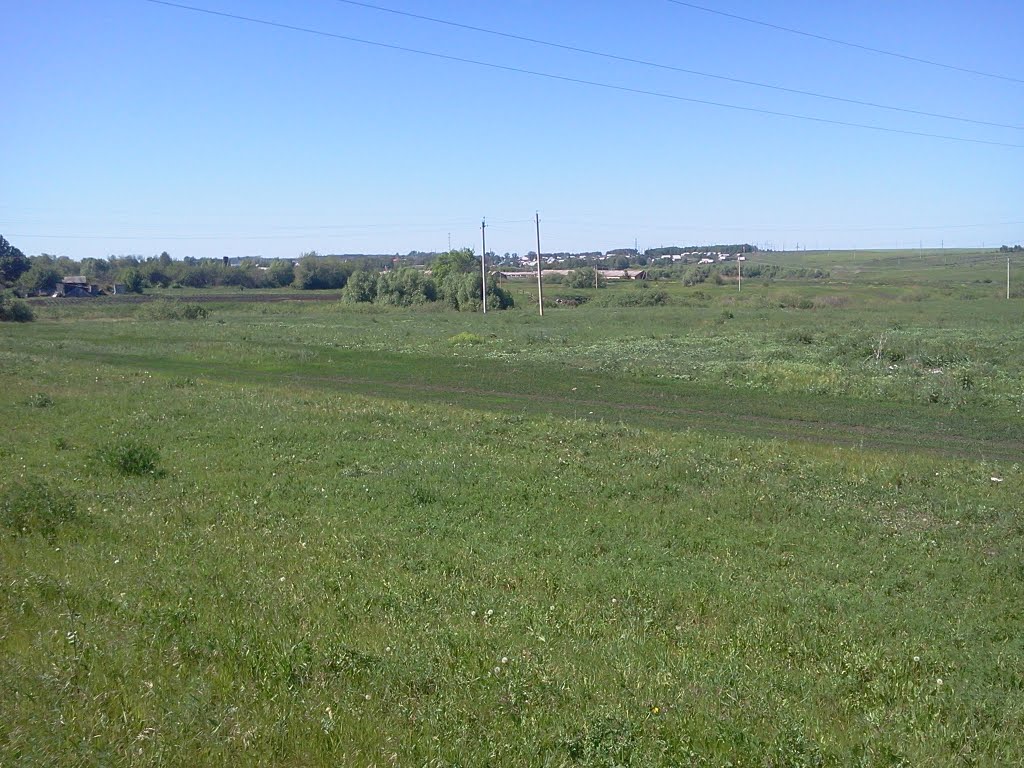 Кондоль 2011г. автор Василий Устинов