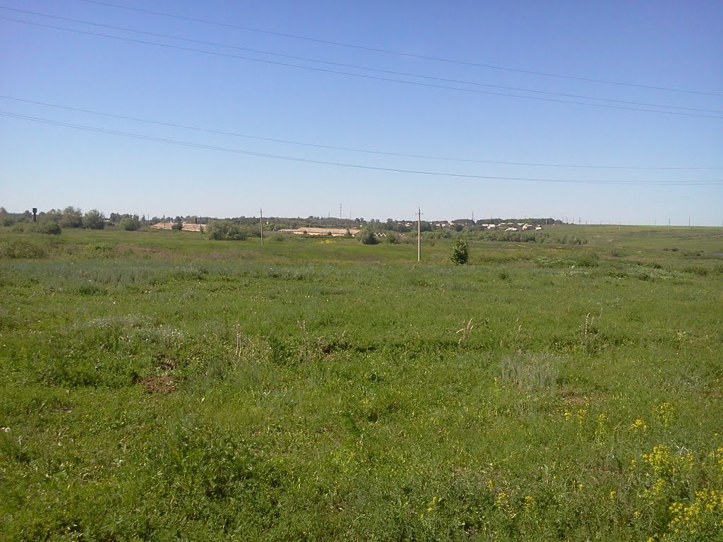 Кондоль 2011г. автор Василий Устинов