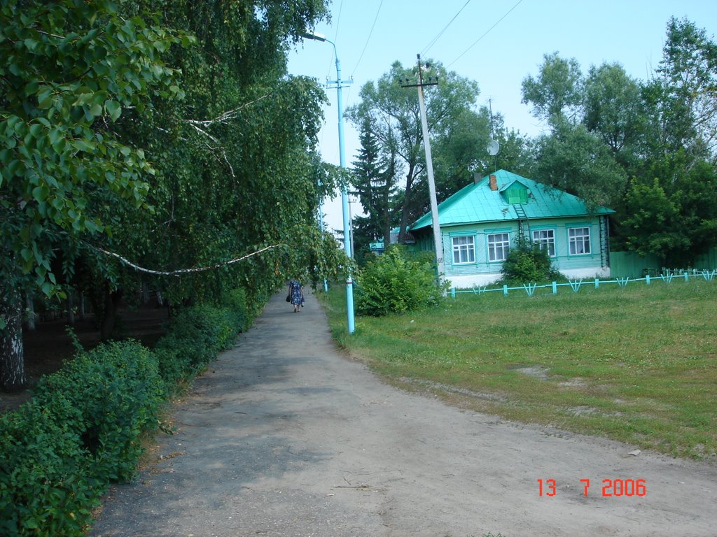 библиотека