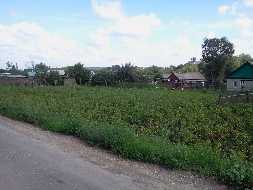 Мокшан 2013г. у.Строителей