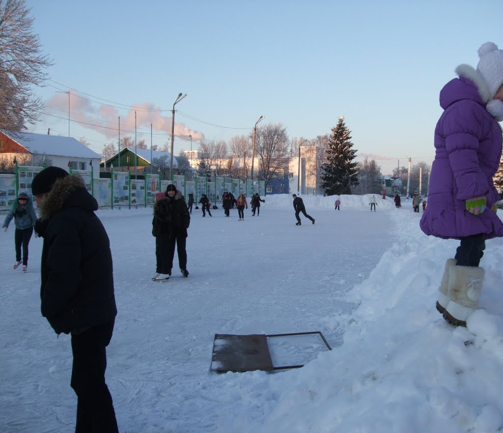 Skate ring