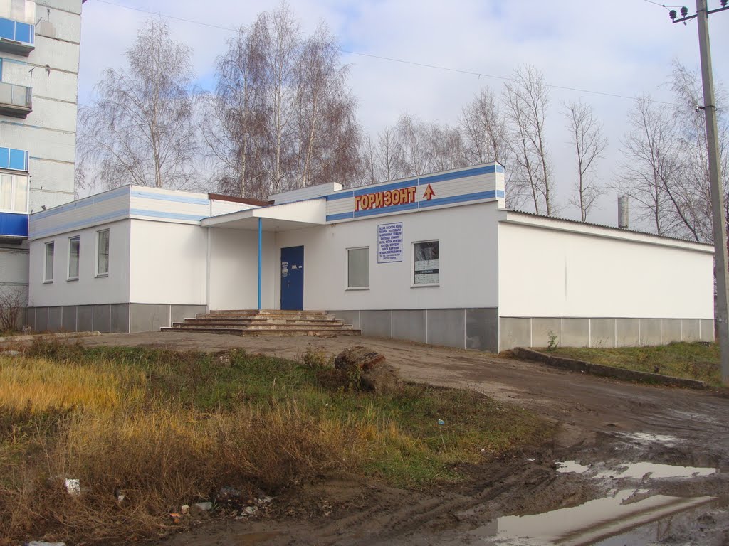 Магазин "Горизонт" (Радиотовары)