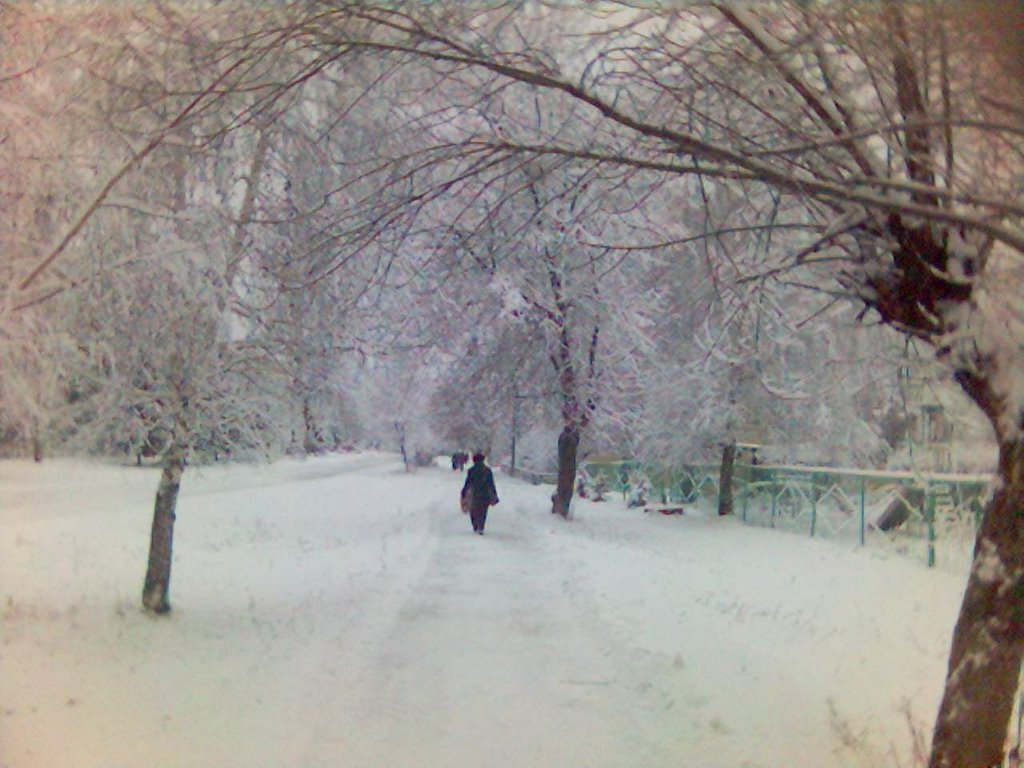 Snow Day / Снежный день