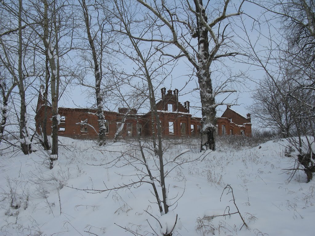 Усадьба в с.Козловка