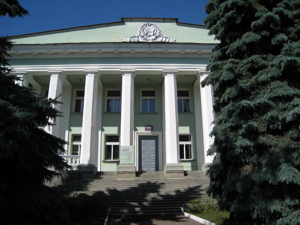 Детская музыкальная школа, 2009 год