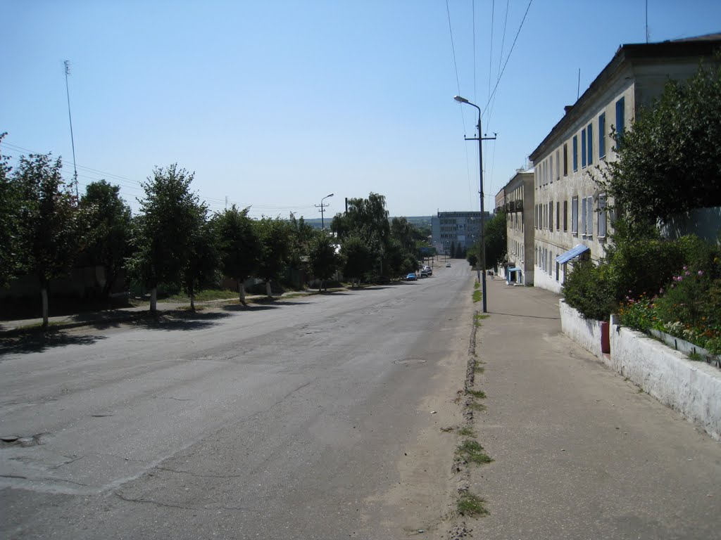 ул. Ленина, 2009 год