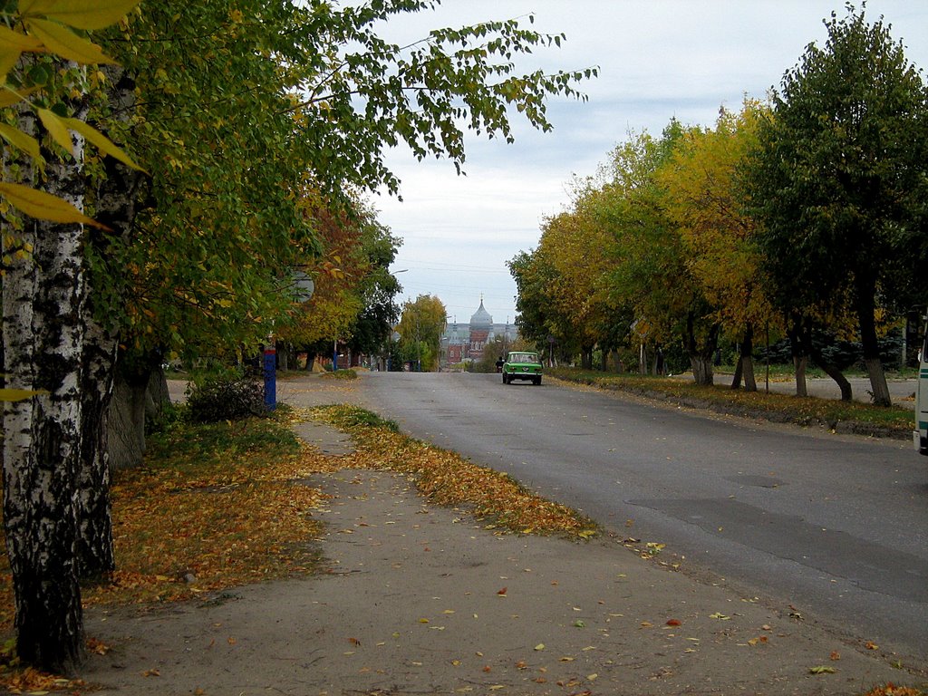 Улицы родного города