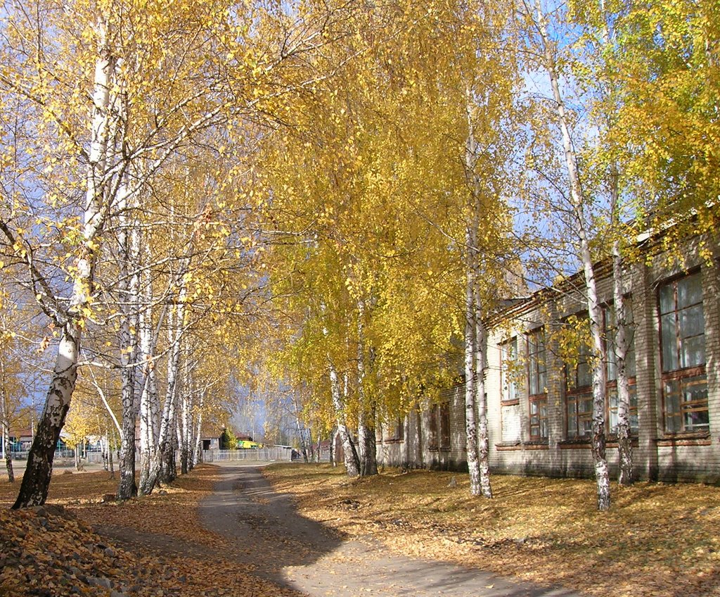 Около школы (About school)