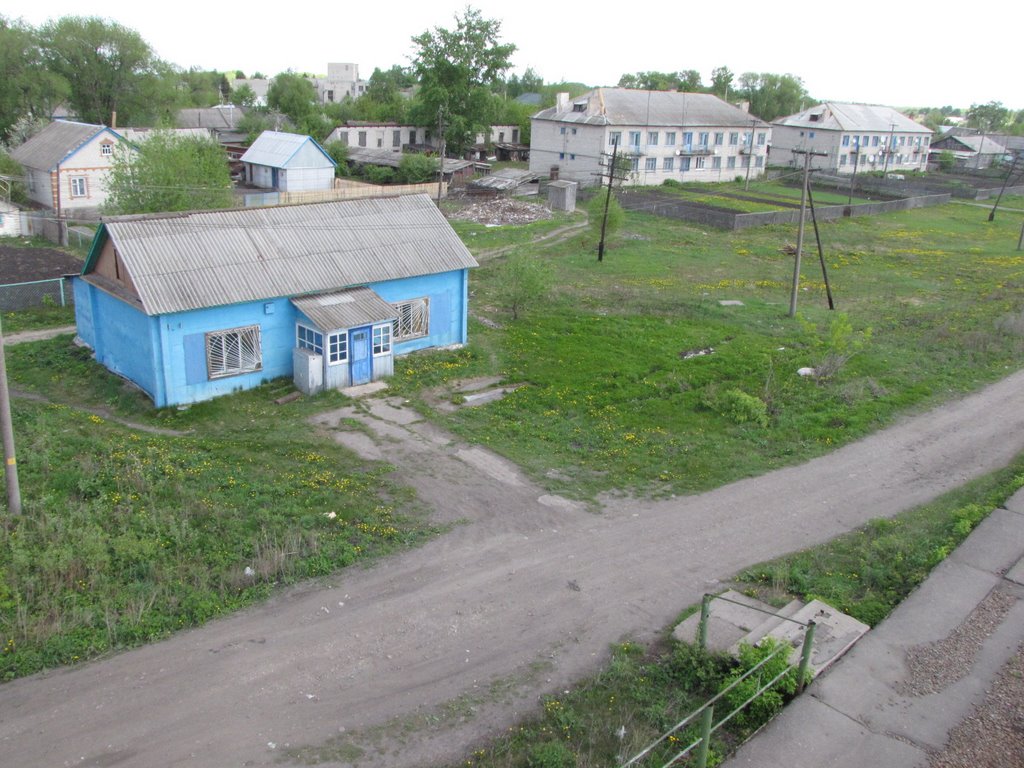 Вид с моста на станции