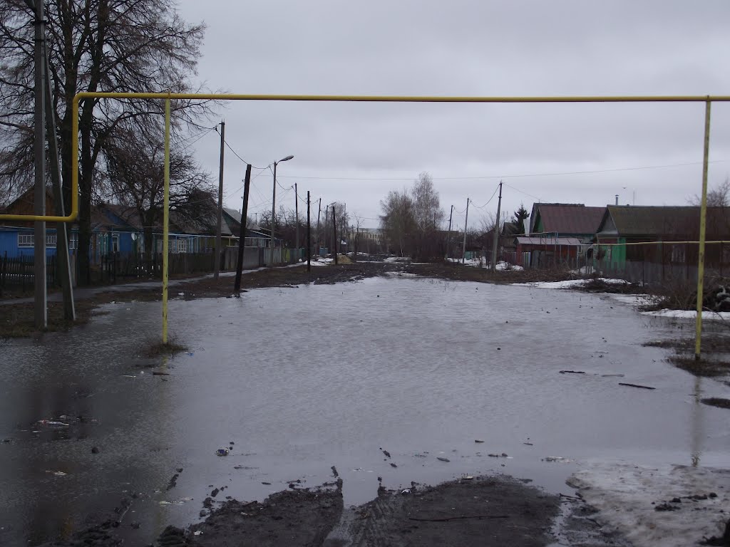 Половодье, ул.Луначарского
