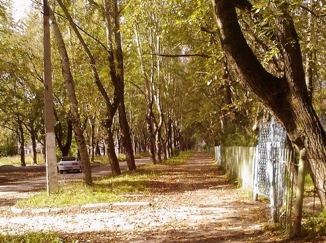Осень в городе