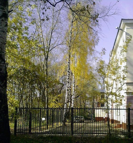 Задворки