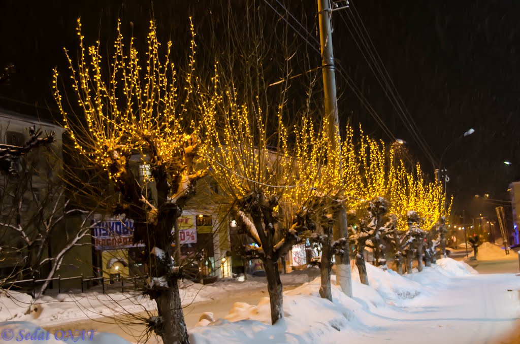 2011-12-28 - 029  (D5100) (Berezniki) (TsumOnu)