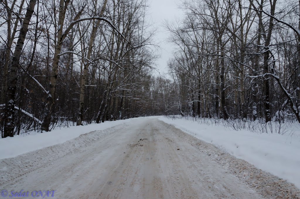 2011-12-30 - 001  (D5100) (Berezniki)
